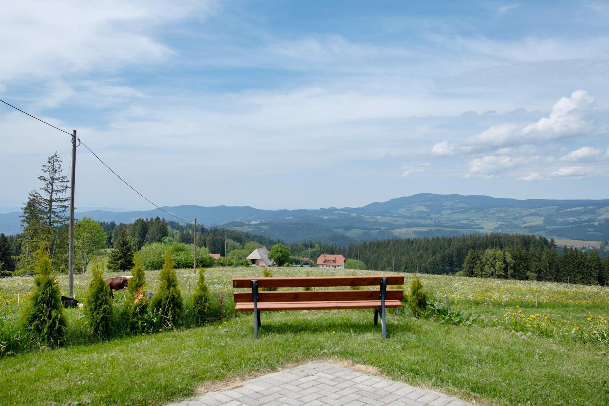 Apartmán Baeuerleshuette Breitnau Exteriér fotografie