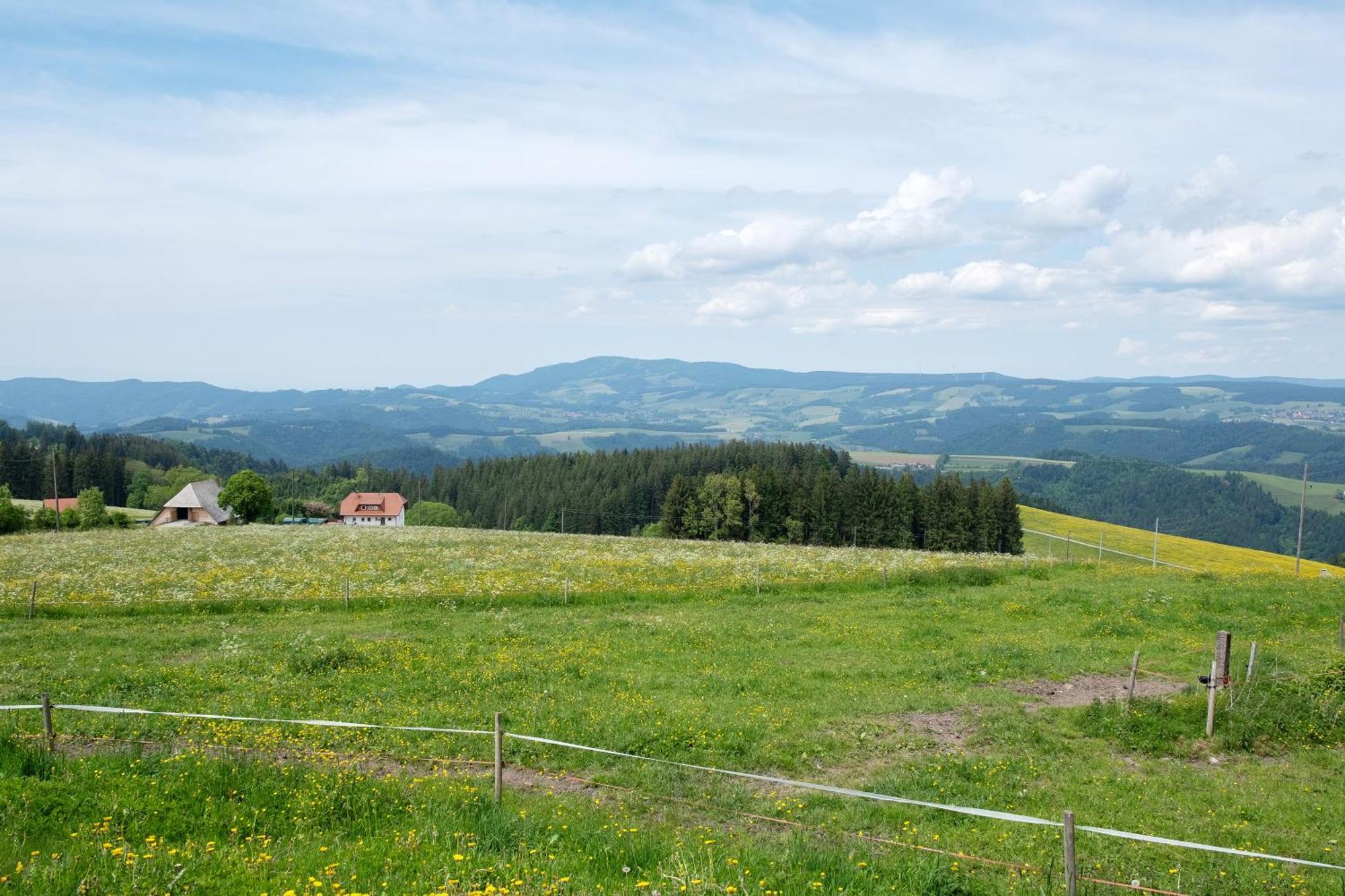 Apartmán Baeuerleshuette Breitnau Exteriér fotografie